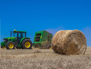 Captura de tela 2026-03-10 192403